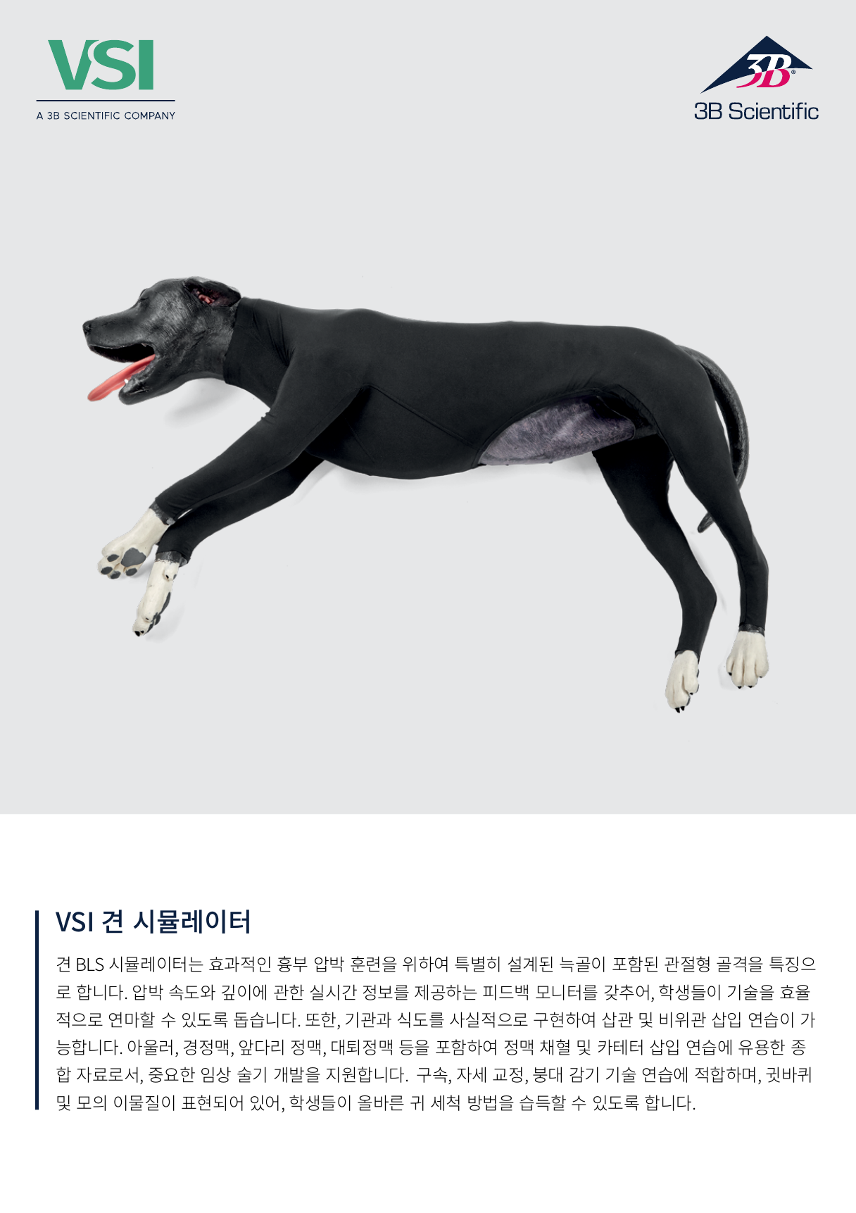 60f7f14fc08d9ebe8fcd7c847b9a5d4c_1772189928_9693.png