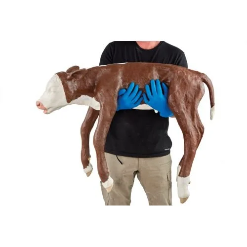 08324cf73c0b14e53a565e932c13e072_1772429773_6729.png